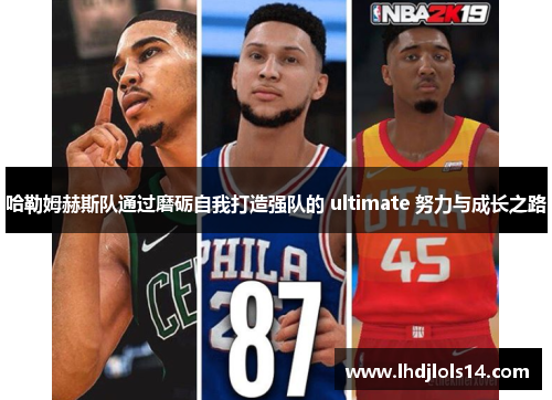 哈勒姆赫斯队通过磨砺自我打造强队的 ultimate 努力与成长之路