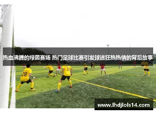 热血沸腾的绿茵赛场 热门足球比赛引发球迷狂热热情的背后故事