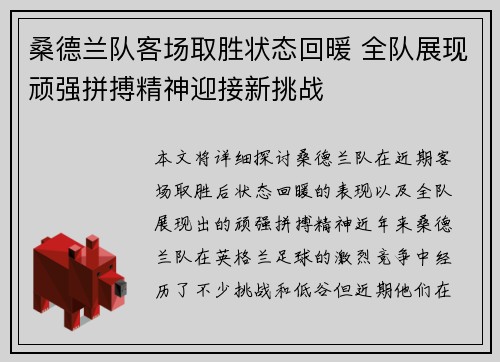 桑德兰队客场取胜状态回暖 全队展现顽强拼搏精神迎接新挑战