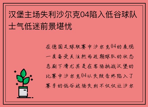 汉堡主场失利沙尔克04陷入低谷球队士气低迷前景堪忧