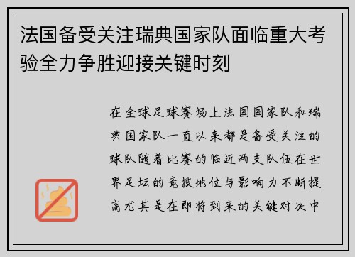 法国备受关注瑞典国家队面临重大考验全力争胜迎接关键时刻